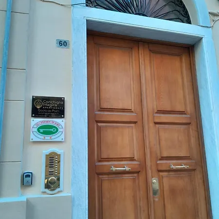 Conchiglia Magica Golfo Dei Poeti